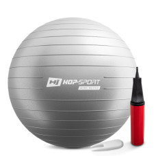 Фитбол Hop-Sport 65cm HS-R065YB silver + насос